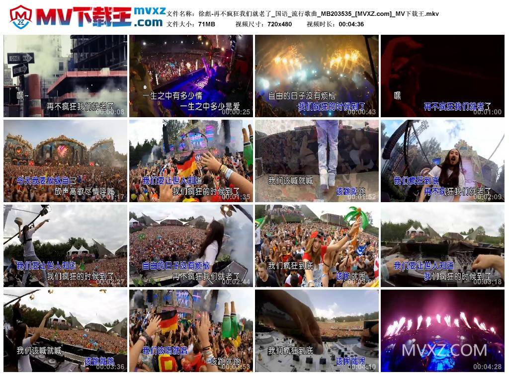 徐彪-再不疯狂我们就老了_国语_流行歌曲_MB203535